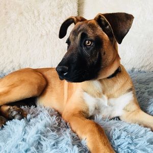 Meet your Posher, Emily